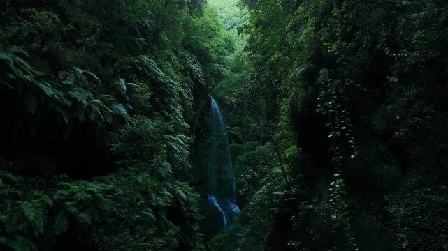 Aerial drone footage revealing Cascada de Los Tilos waterfall in La Palma, Canary Islands