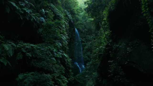 Aerial drone footage pulling away from Cascada de Los Tilos waterfall, La Palma, Canary Islands