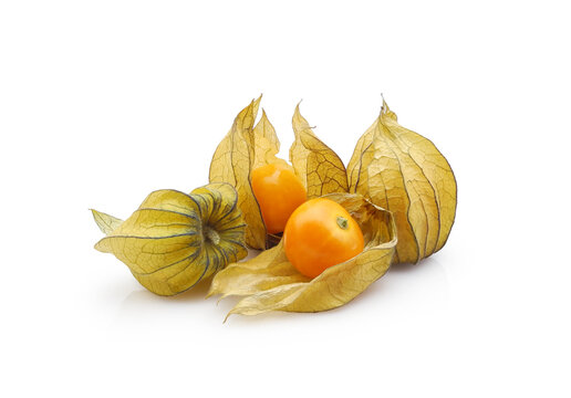 Physalis peruviana ripe fruits (also known as Cape gooseberry, Goldenberry or Peruvian groundcherry), edible sweet berries into dry calyx isolated on white background