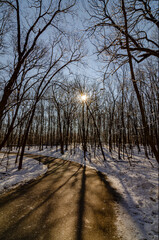 561-40 Road to the Sun