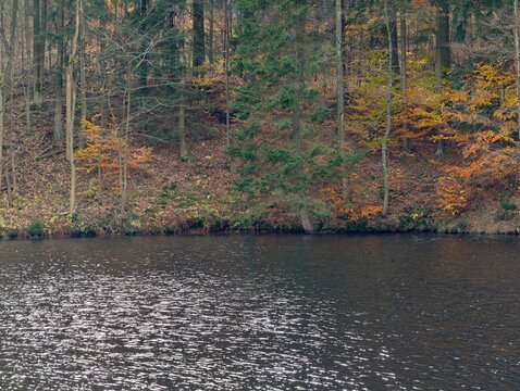 peaceful lake scene featuring silvery ripples and gentle autumnal landscape for photography
