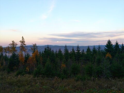 calm twilight overlooking misty forest hills, gentle evening view with muffled sky and foggy treetops