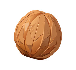 A closeup macro of a healthy group of cracked brown walnuts in their natural nutshell isolated on a white background as a nutritious dried food snack and organic ingredient