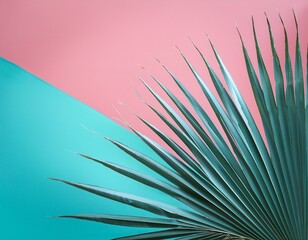 serene teal palm frond gracefully positioned on a dual toned background of soft pink and tranquil blue creating a minimalist tropical aesthetic
