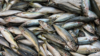 Obraz premium Mixed small fish pile representing variety of species daily catch volume and traditional seafood selling methods. Seafood concept.
