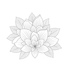 Fototapeta premium Elegant Botanical Illustration: Detailed Line Art of a Blooming Lotus Flower