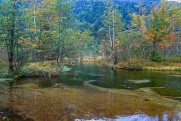 上高地の美しい秋の風景、透き通った清流と紅葉の森