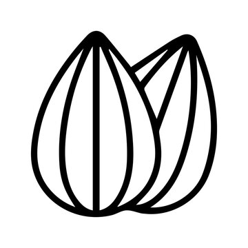 Almond icon outline