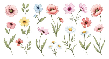 Obraz premium Watercolor Collection of Delicate Wildflowers and Poppies.