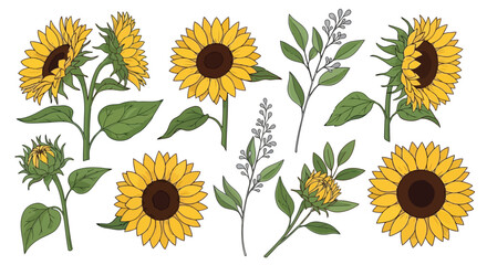 Collection of Hand-Drawn Sunflowers and Greenery Elements.