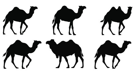 Set of Six Black Camel Silhouettes on White Background.