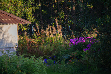 old house in the woods in Russia