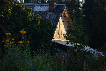 house in the forest in Russia
