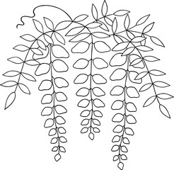 藤の花の線画イラスト	