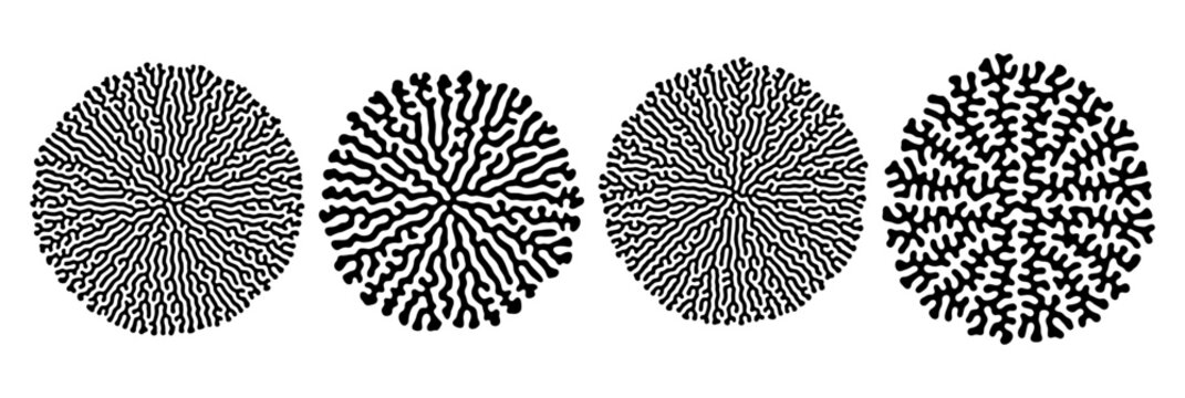 Vector Set of Round Diffusion Grow Patterns. Abstract biological design elements.