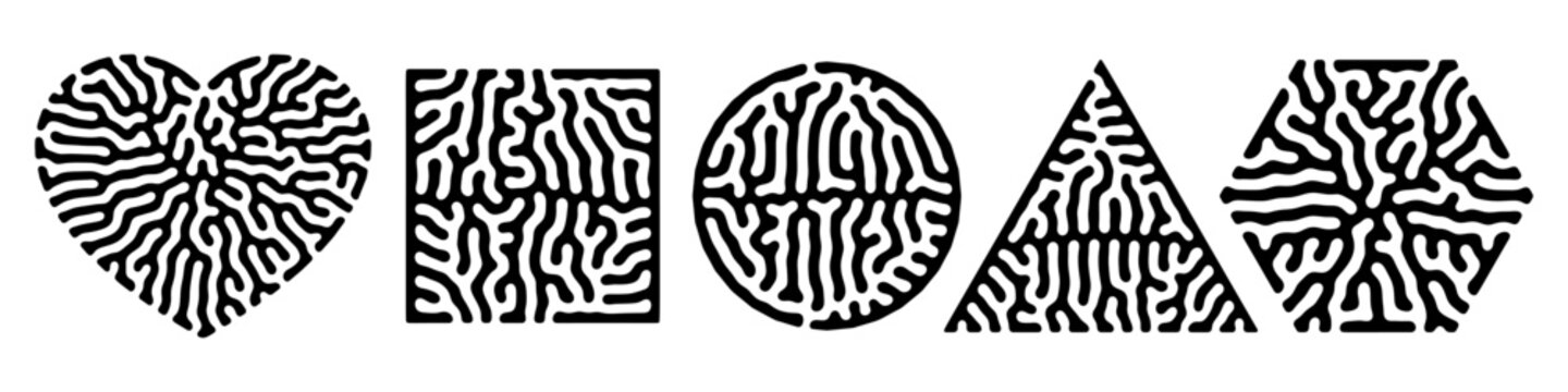 Vector set of standard geometric forms filled with intricate biological maze textures resembling brain or coral.