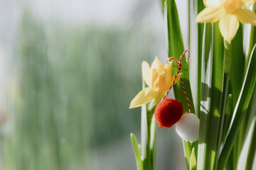Beautiful martisor balls on daffodil flowers on a sunny day.