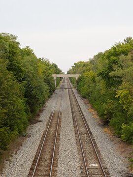 Aerial view of parallel railroad tracks flanked by lush green trees leading to a distant concrete overpass under cloudy skies.