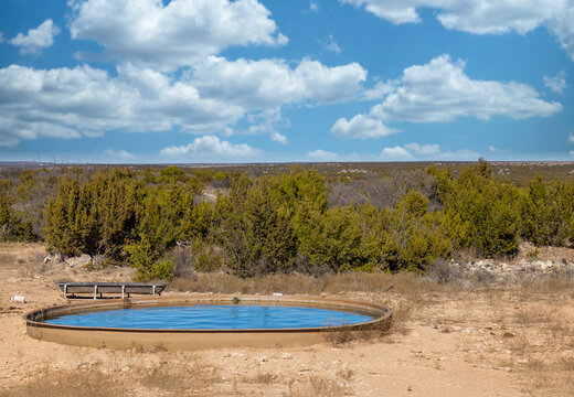 Round concrete stock tank on texas ranch agriculture cattle water