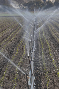 Irrigation Sprinklers Watering Crops Aerial View