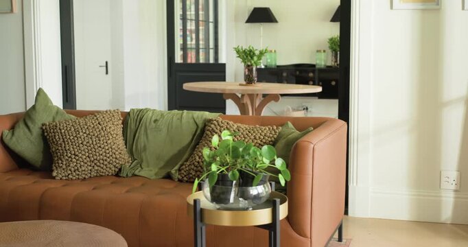 Camera is moving closer, framing brown sofa with green throw and pillows, highlighting cushions