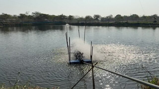 The water pump is working in the fish pond.
