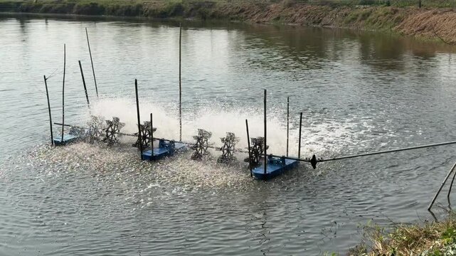 The water pump is working in the fish pond.
