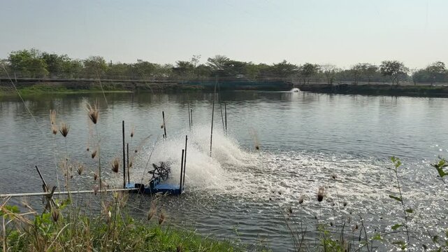 The water pump is working in the fish pond.
