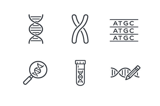 Genetics science line icon set with six editable stroke vector symbols. Clean outline style for DNA research, genome analysis, laboratories and scientific web interfaces.