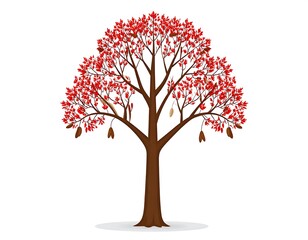 Obraz premium Vibrant red leaf tree illustration isolated on white background for design