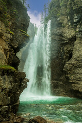 Redhead duck floating on the water