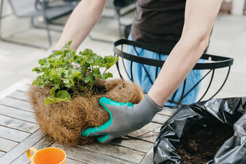 One man is planting flowers in a pot in the backyard during the day.