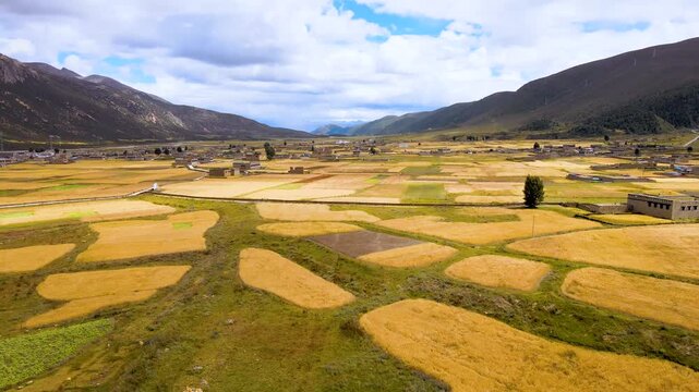 Phobjikha Valley Agricultural Landscape, Bhutan