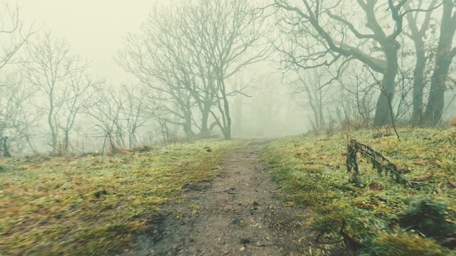 Fast-paced POV running sequence through a spooky, leafless forest covered in thick white mist. The handheld movement creates a sense of urgency and exploration in a cold, wintry nature setting.