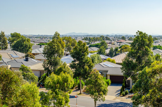 Rows of modern detached houses with tiled roofs are nestled among mature eucalyptus trees. A leafy outer-suburban environment and family housing in Point Cook, Melbourne, Australia.