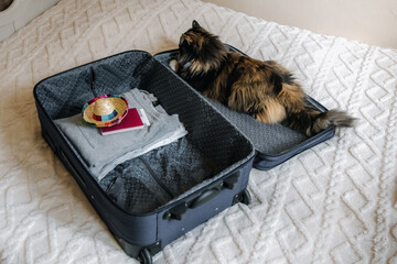 A fluffy cat lies in a suitcase on the bed.