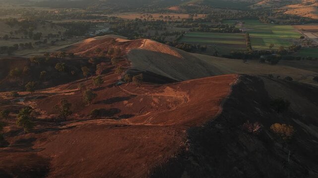 Bushfire wildfire burnt landscape in Australia victorian high country