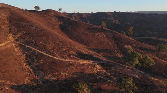 Bushfire wildfire burnt landscape in Australia victorian high country