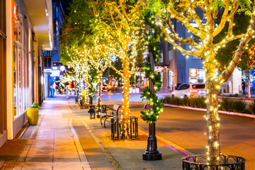 Holiday Decorated Trees at Night in Santana Row