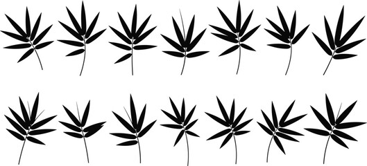 Set of Cannabis and Hemp Leaf Silhouettes in Various Botanical Shapes Isolated as Black Vector Collection on White Background