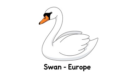 Illustration of a swan in profile, showcasing its distinctive features, in a simple line art style on a plain background
