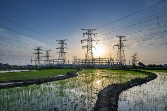 High-Voltage Substation Amidst Rice Paddies at Sunset