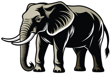 Fototapeta premium elephant isolated on white