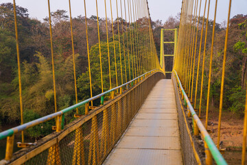 Fototapeta premium A hanging bridge in the middle of the forest