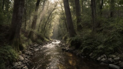 Fototapeta premium Sunlit Stream Through a Lush Forest.