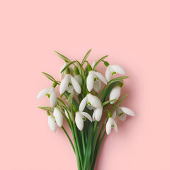 Fototapeta premium A beautiful arrangement of snowdrop flowers on a soft pink background, symbolizing purity and new beginnings.