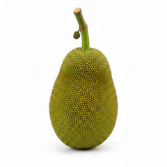 Fresh Jackfruit Isolated on White Background