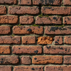 Close-up of Old Rustic Red Brick Wall Texture with Moss and Weathered Details