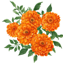 Vibrant orange gerbera daisies bouquet with green leaves isolated on transparent background