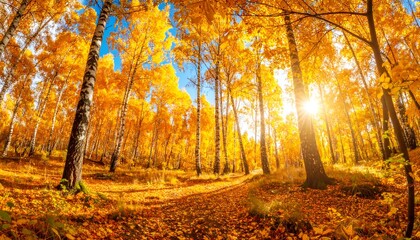 Golden autumn forest bathed in warm, sunlit rays